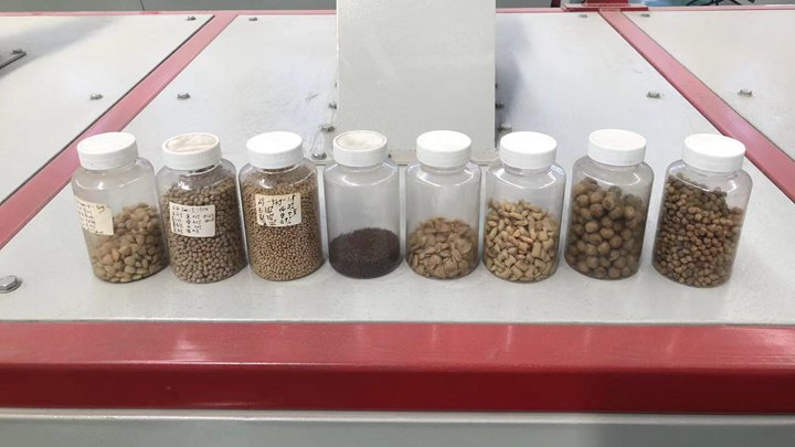 dry type tropical fish feed pelletizer machine in South Korea